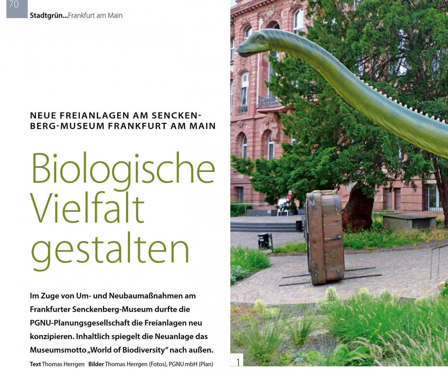 1 Startseite Aktuelles2 Artikel Freiraumgestalter Senckenberg Foto NEU