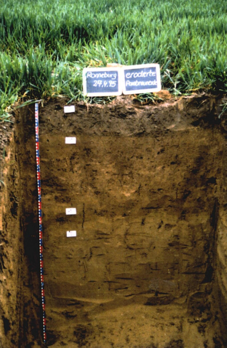 Methode Bodenprofil1