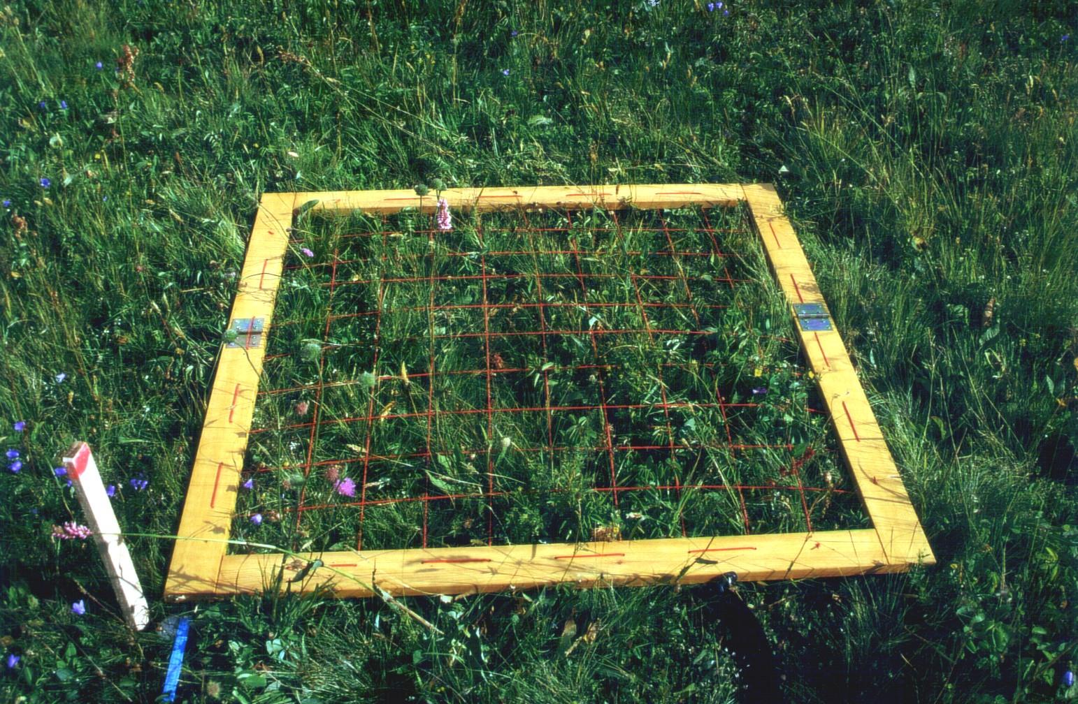 Methode VegAufnahme1