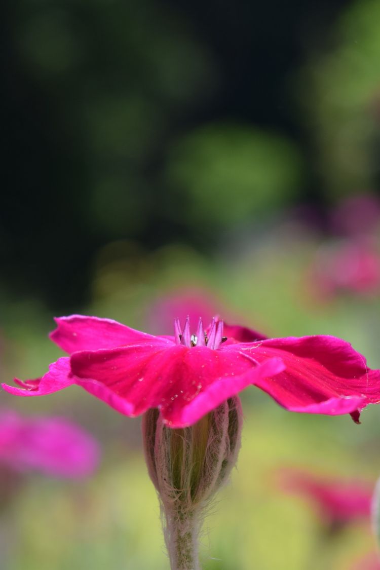 Profilbild von  Katrin Kretschmann (Teamleiterin | Landschaftsplanerin)